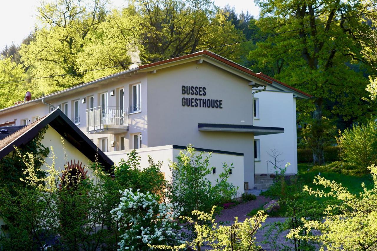 Busses Guesthouse Fribourg im Breisgau Extérieur photo